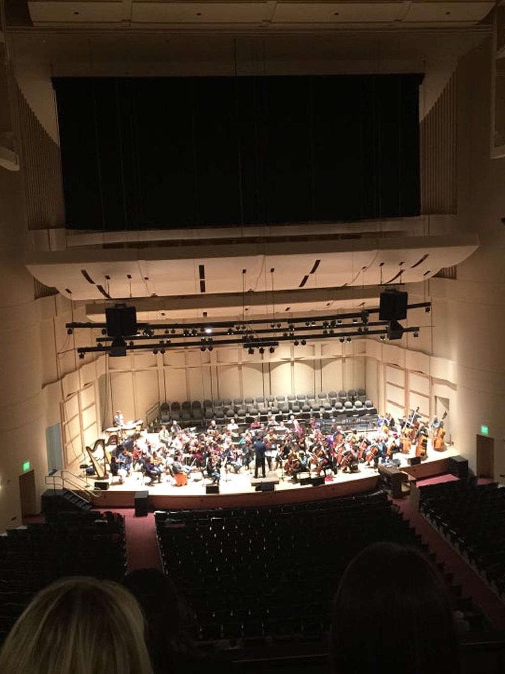 Elegant concert hall with orchestral musicians performing on stage | QuestForDirections.