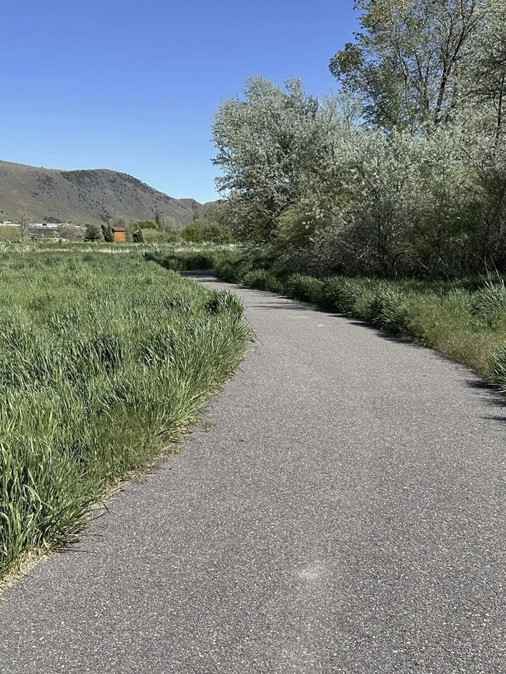 Gentle country road surrounded by greenery, perfect for outdoor exploration and nature adventures.