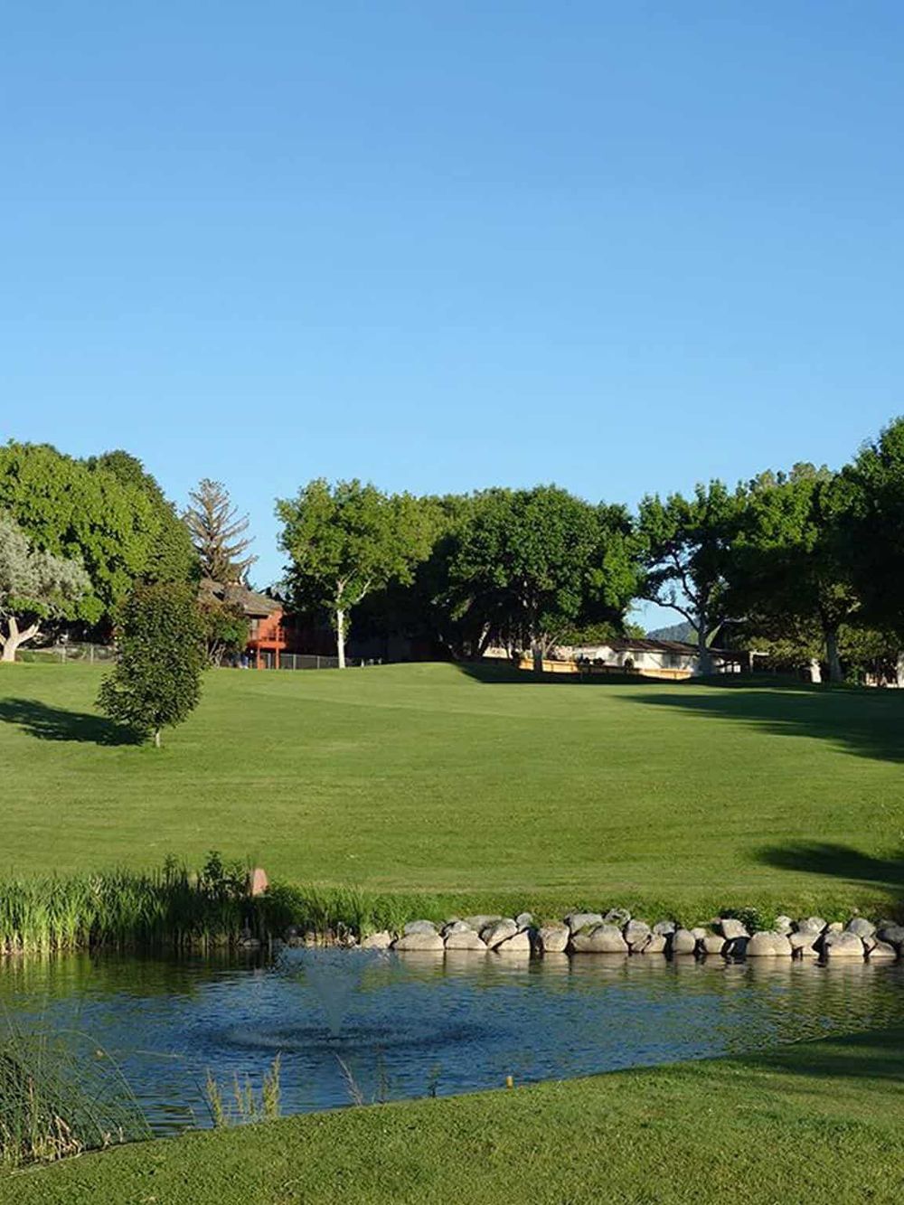 Serene golf course with lush green fairways, trees, and a small pond, perfect for outdoor recreational activities.