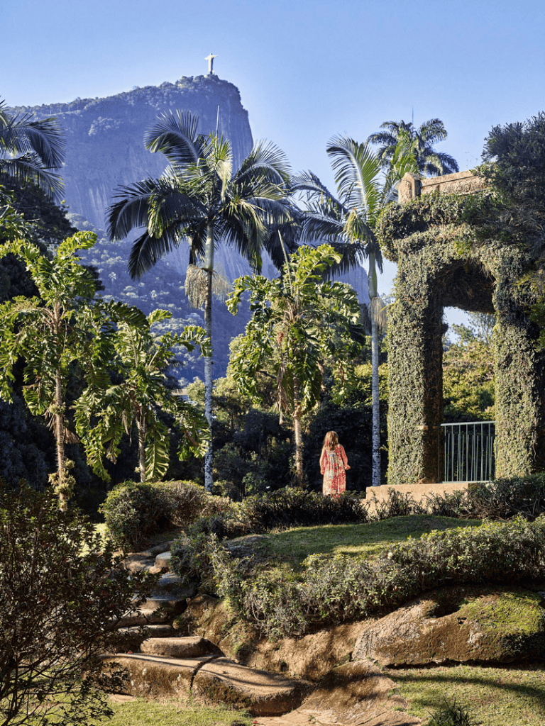 Vibrant tropical garden near Christ the Redeemer mountain in Rio de Janeiro, Brazil.