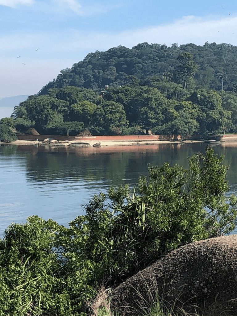 Lush green hillside with trees and calm river beneath, scenic natural landscape in QuestForDirections image.