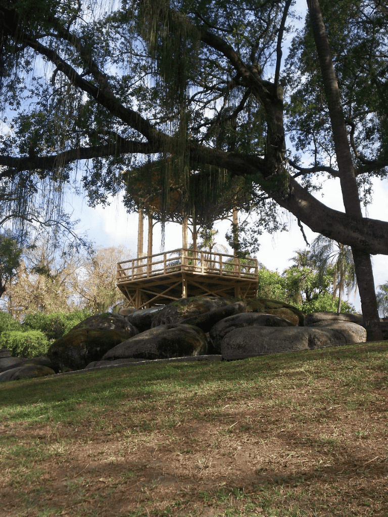 Secluded treehouse nestled among large rocks with lush greenery surrounding it.