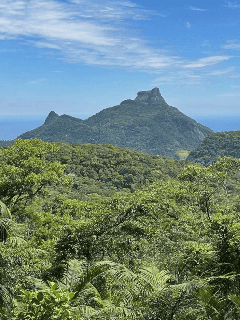 Lush tropical rainforest with mountain peak in background, scenic natural landscape in QuestForDirections image.