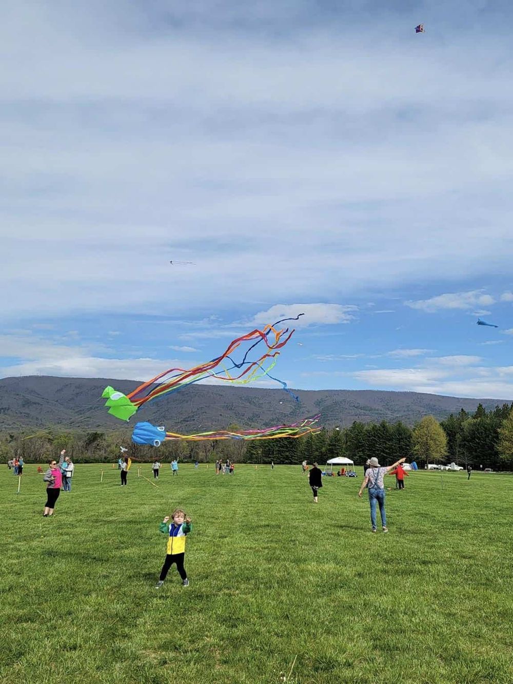Colorful kites flying over a park on a clear day with people enjoying the outdoor event.
