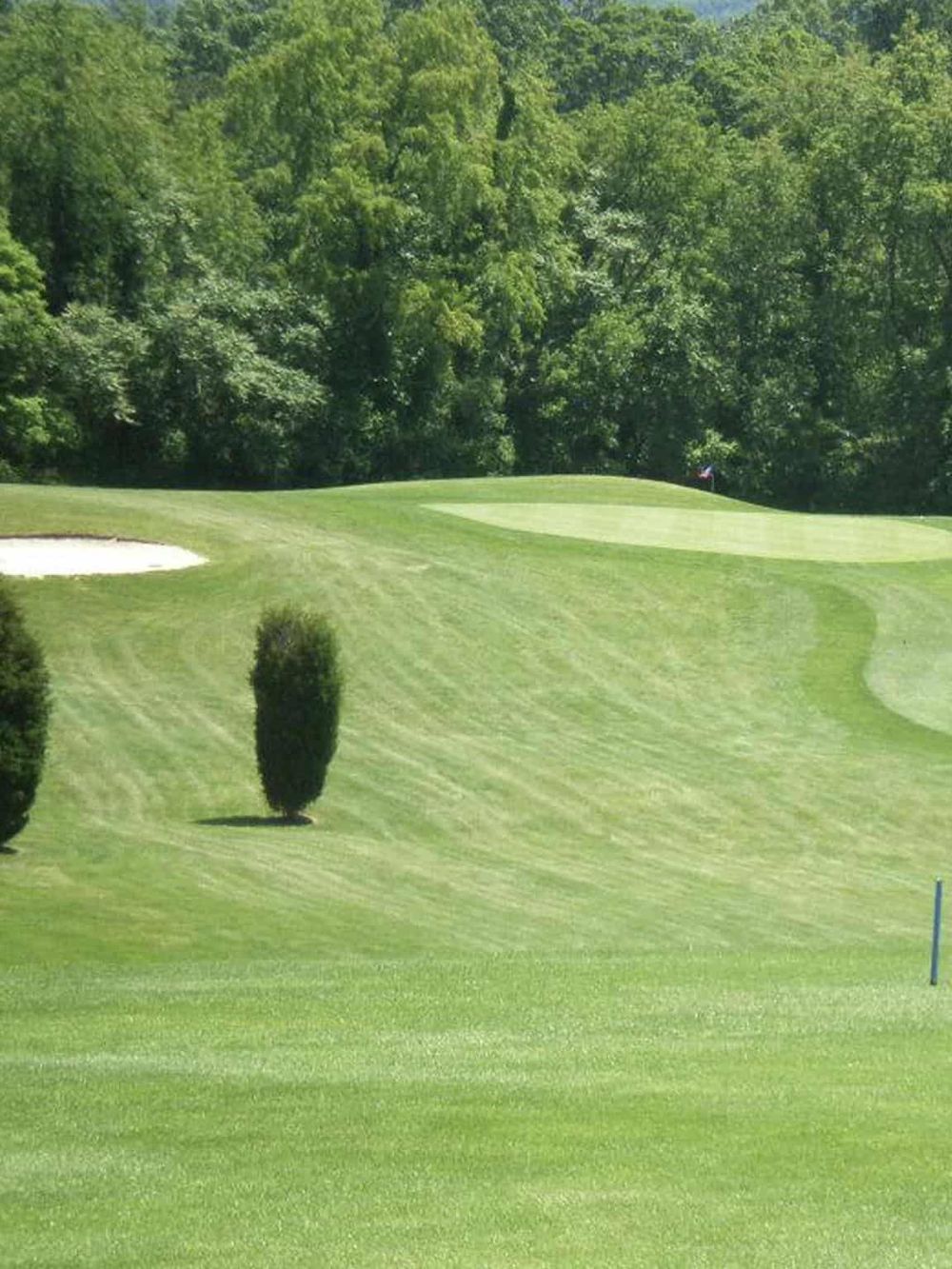 Lush green golf course with sand bunker and trees, ideal for golf enthusiasts and outdoor activities.