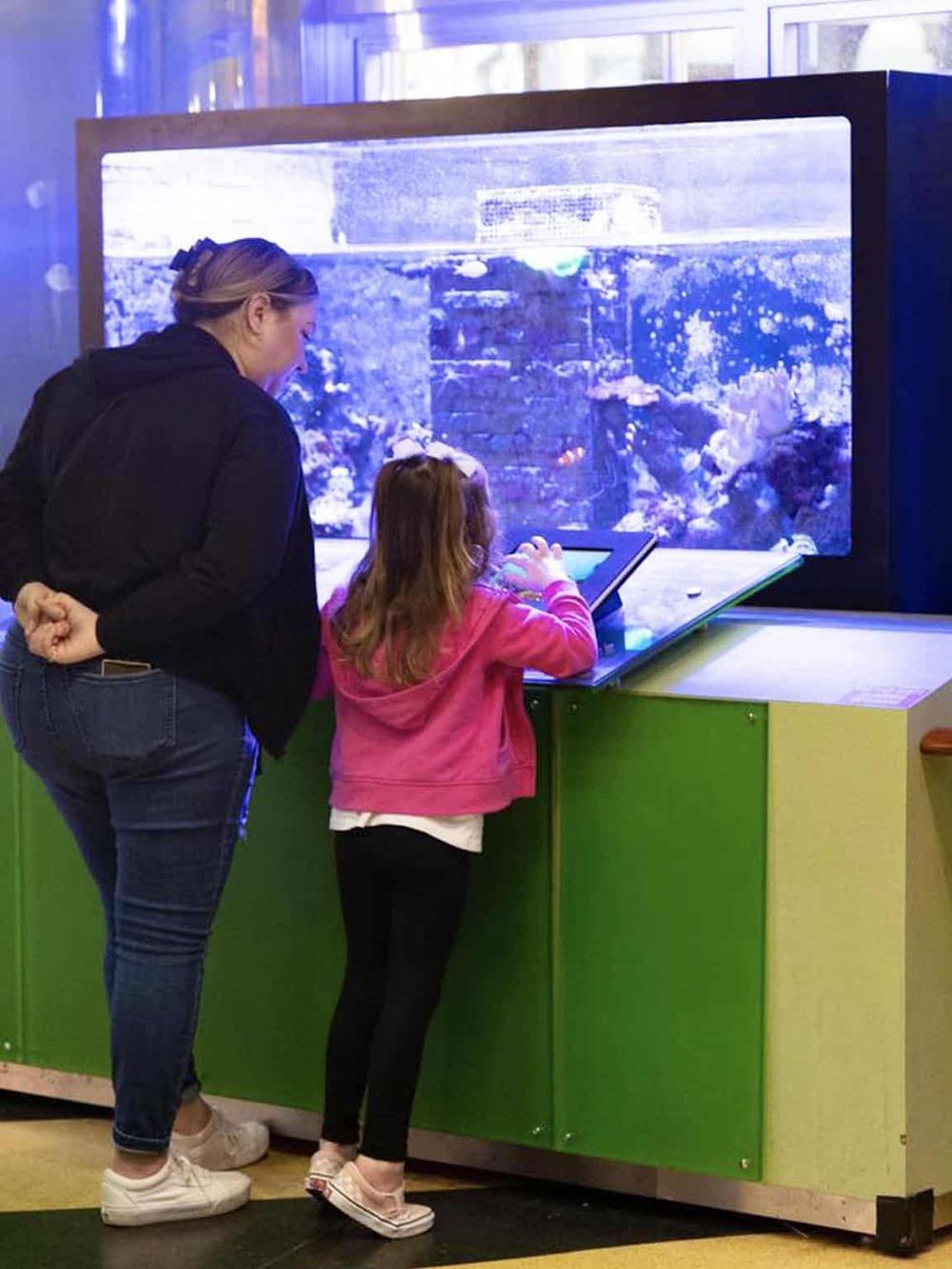 Interactive aquariums for kids at Quest For Directions, engaging learning and exploration.