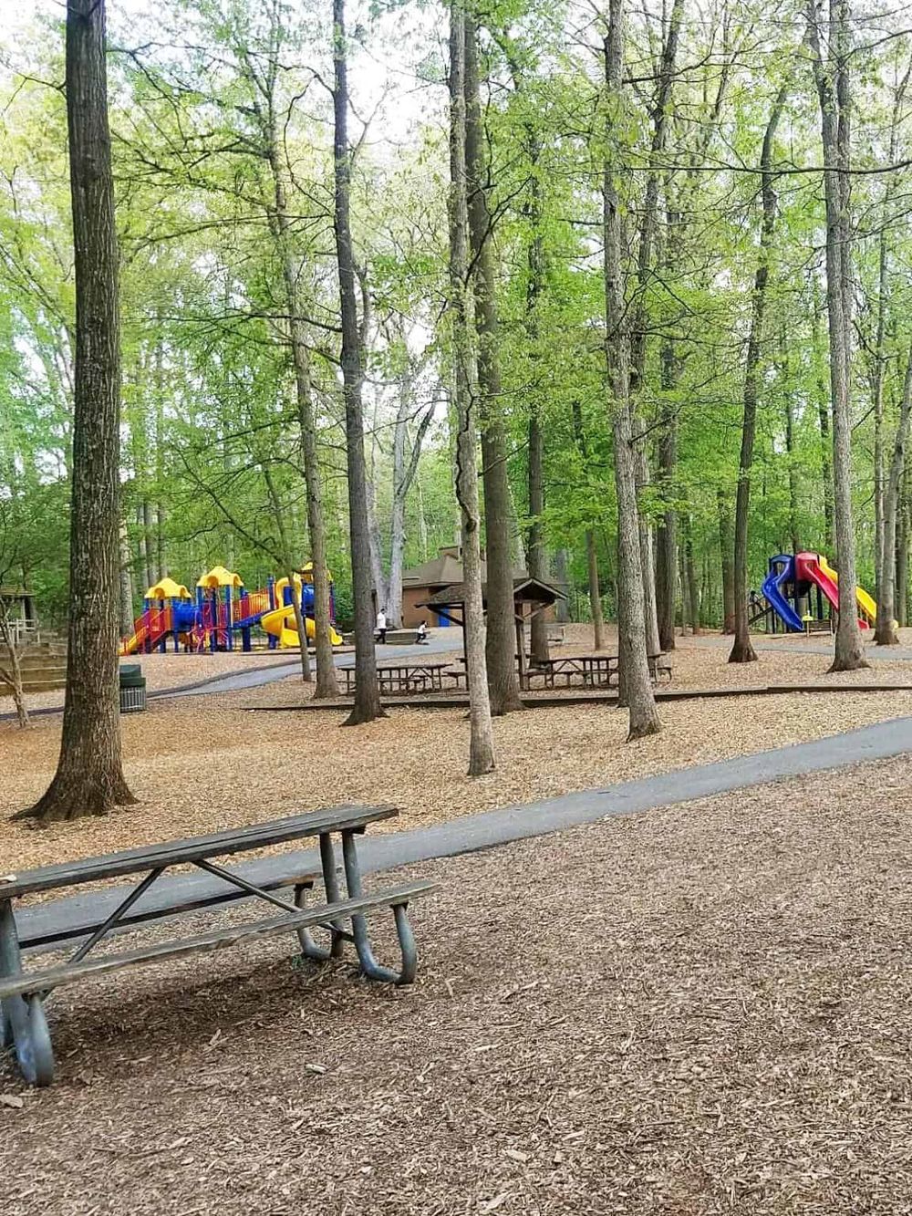 Colorful playground equipment in a wooded park, ideal for family outings and outdoor activities.