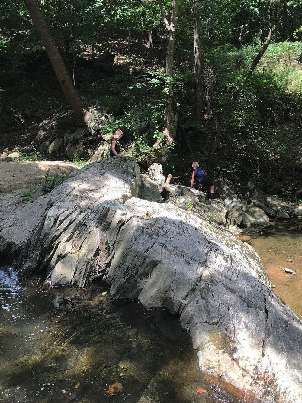 Kids exploring a rocky creek in lush, green forest for outdoor adventure.