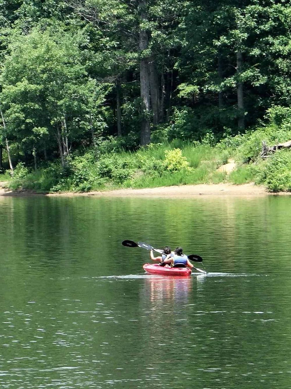 Serene lake scene with people kayaking amidst lush green trees, perfect for outdoor adventure and nature exploration.