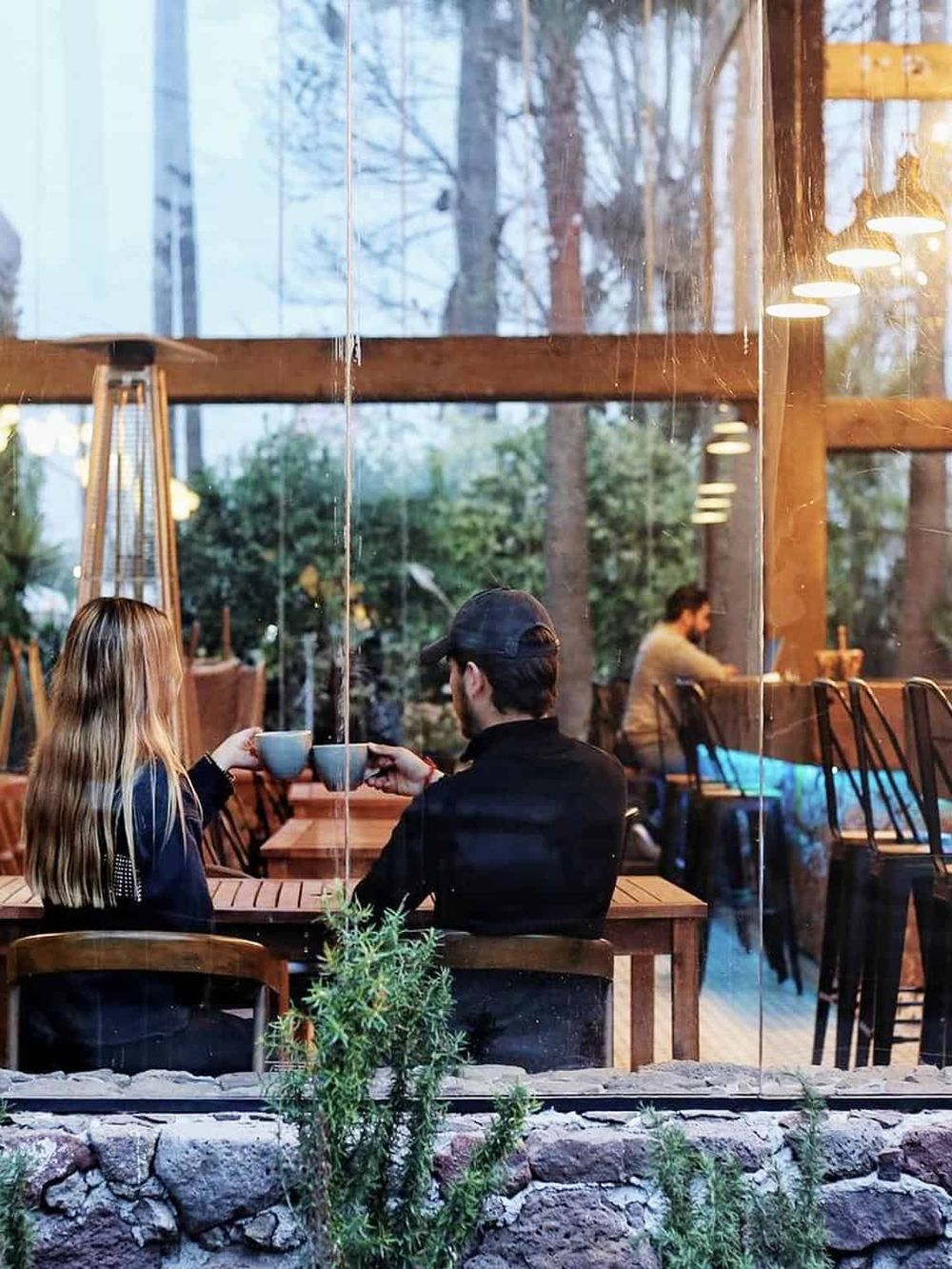 Cozy cafe scene with two people toasting with coffee cups, surrounded by nature and warm indoor lighting.