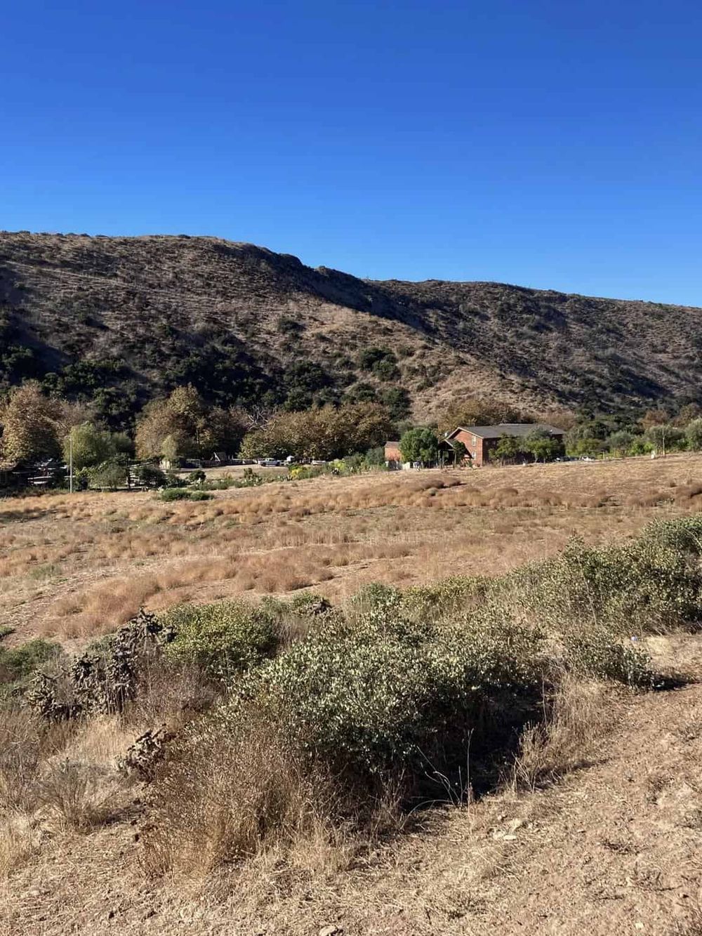Vast dry landscape with hills and sparse vegetation under a clear blue sky.