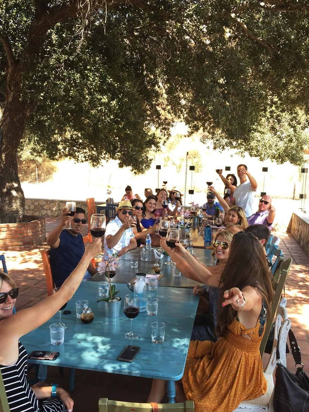 Stylish group enjoying a wine-tasting event outdoors under a large shady tree in a scenic vineyard setting.