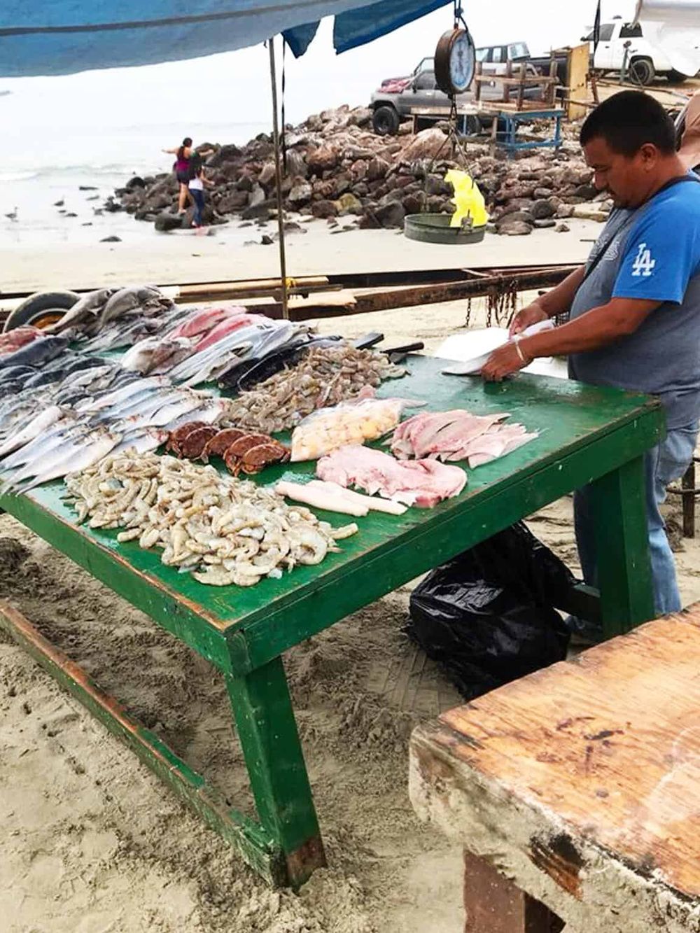 Fresh seafood market on the beach with caught fish and shellfish, offering local seafood for sale.