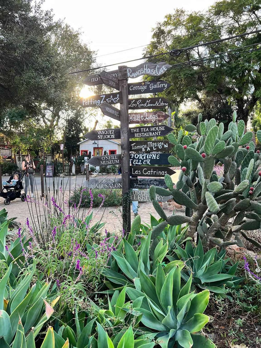 Directional signpost with local attractions and businesses, surrounded by lush greenery and desert plants.