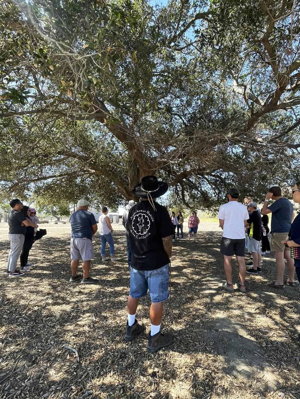 People gathered under a large tree during an outdoor tour or educational event.