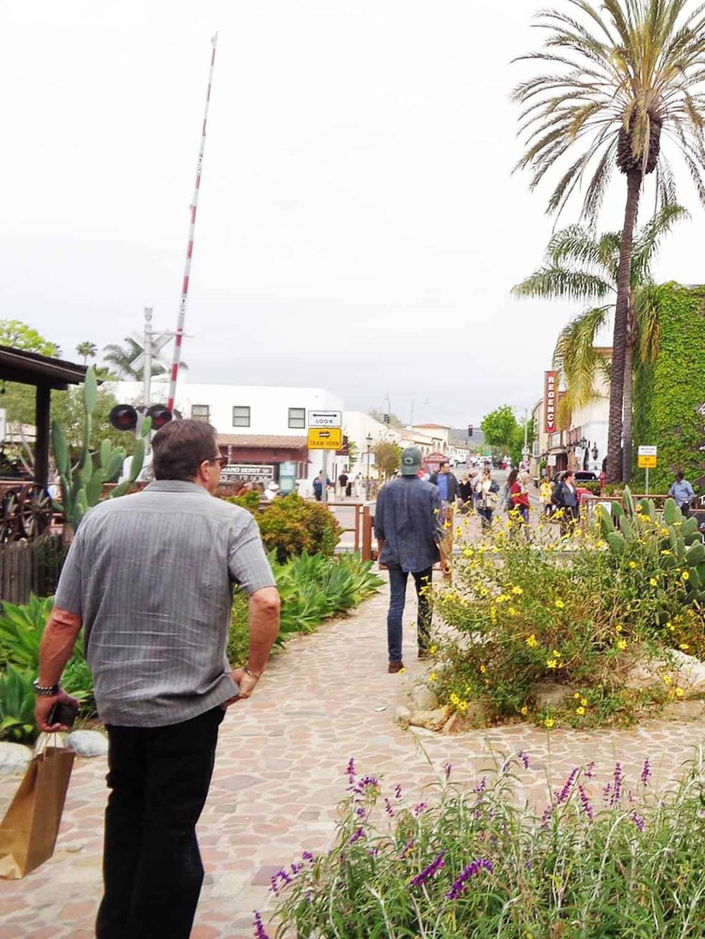 Charming downtown area with pedestrians, lush plants, and retail stores, perfect for exploring local attractions and directions.