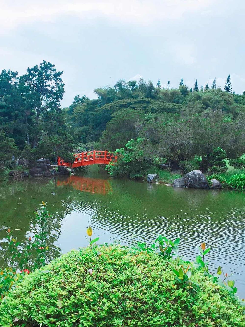 Serene Japanese garden with pond, red bridge, lush greenery, and tranquil ambiance for peaceful retreat.