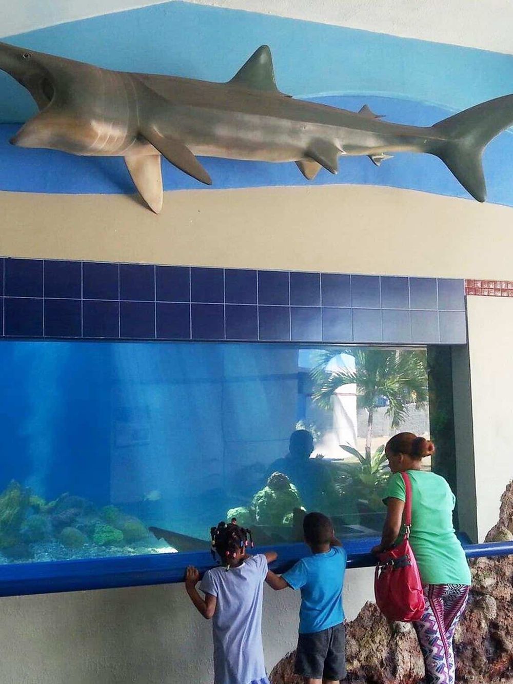 Colorful aquarium with children viewing marine life and a shark model display.