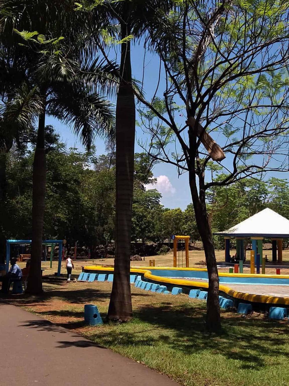 Lush park with vibrant trees, colorful water features, and outdoor recreational spaces.