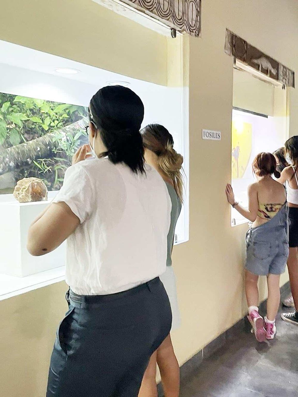 Vase fossil exhibit at museum, visitors observing ancient remains, educational fossil display for learning about natural history.