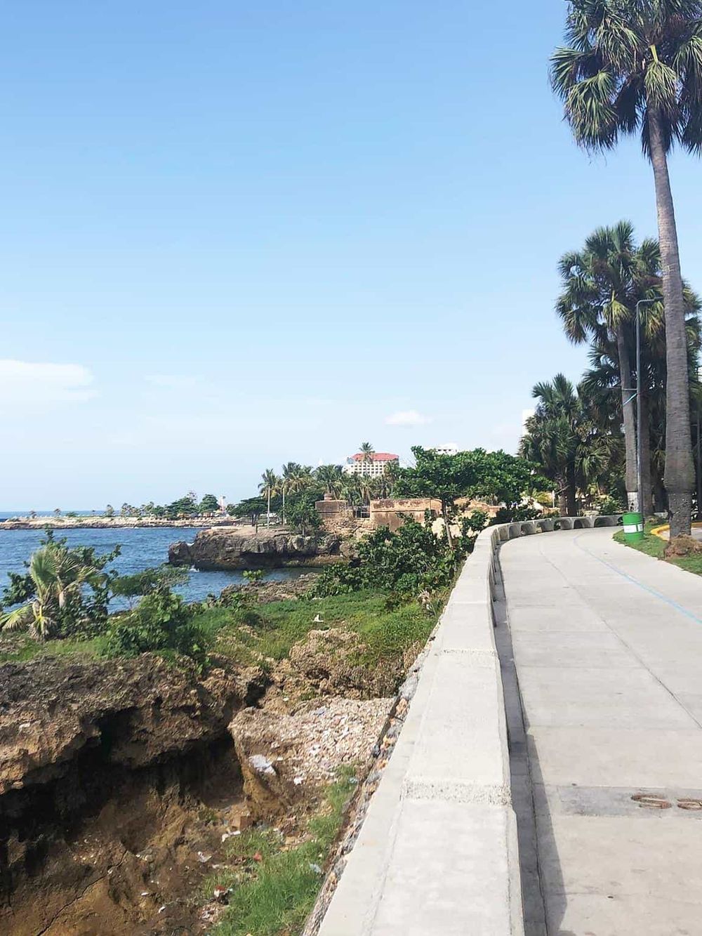 Scenic coastal sidewalk with palm trees and ocean view, ideal for seaside walks and travel relaxation.