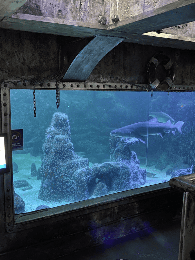 Colorful underwater aquarium with sharks and rocks, highlighting marine life exhibits at QuestForDirections.