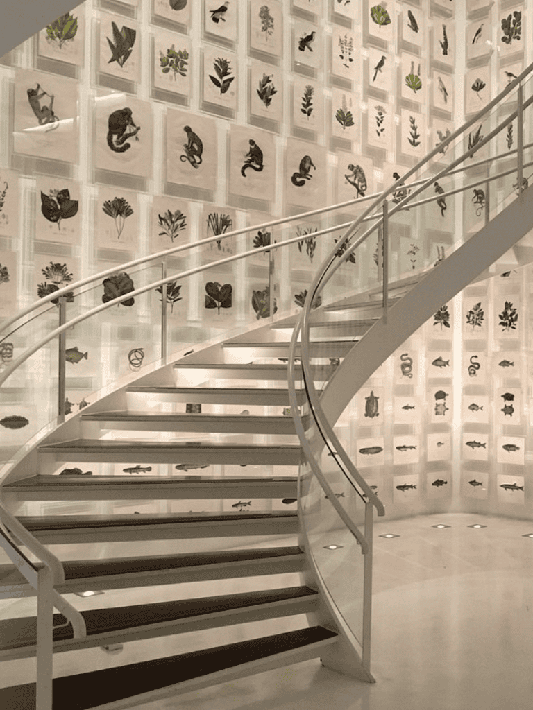 Bird exhibits at QuestForDirections, showcasing diverse species in a modern museum setting.