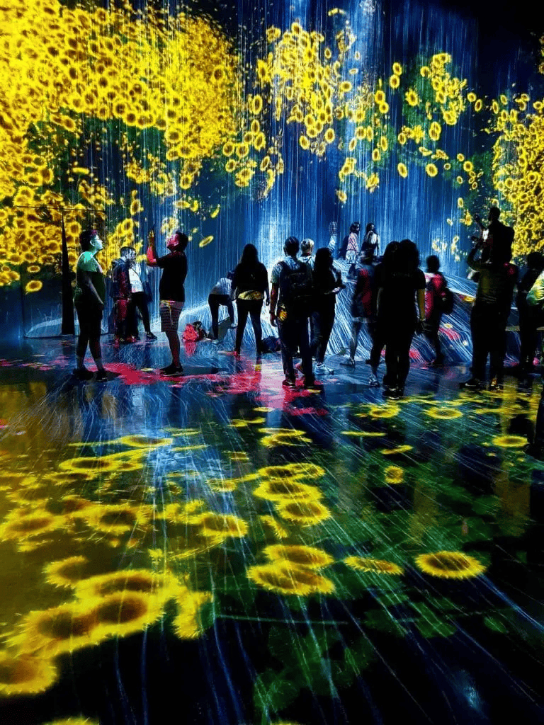 Vivid digital art experience with interactive floral projections at QuestForDirections exhibit.
