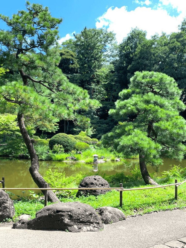Serene Japanese garden with pond, lush trees, and stone lantern, perfect for relaxation and nature walks.