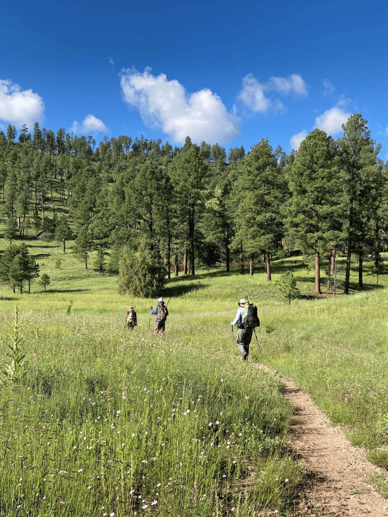 1. Hiking trail through lush green forest with backpackers in nature scenery.