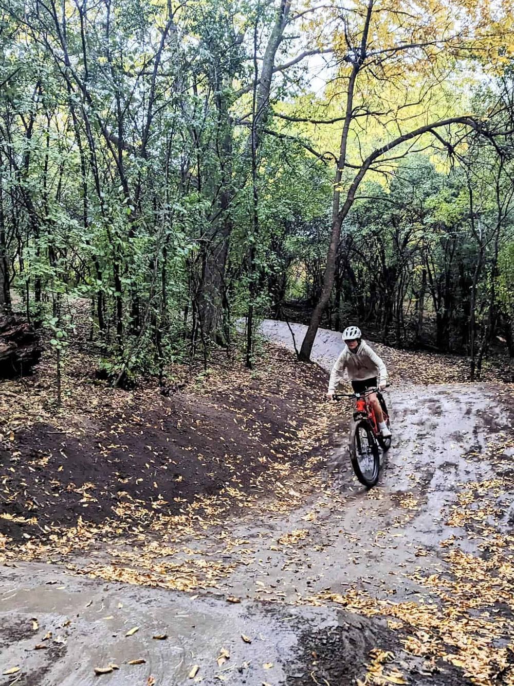 Mountain biking through forest trail with fallen leaves, outdoor adventure activity, nature exploration.