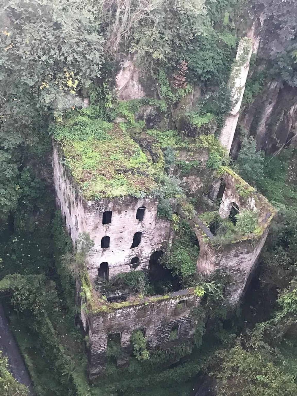 Ancient ruins surrounded by lush greenery, highlighting historical exploration and adventure travel.