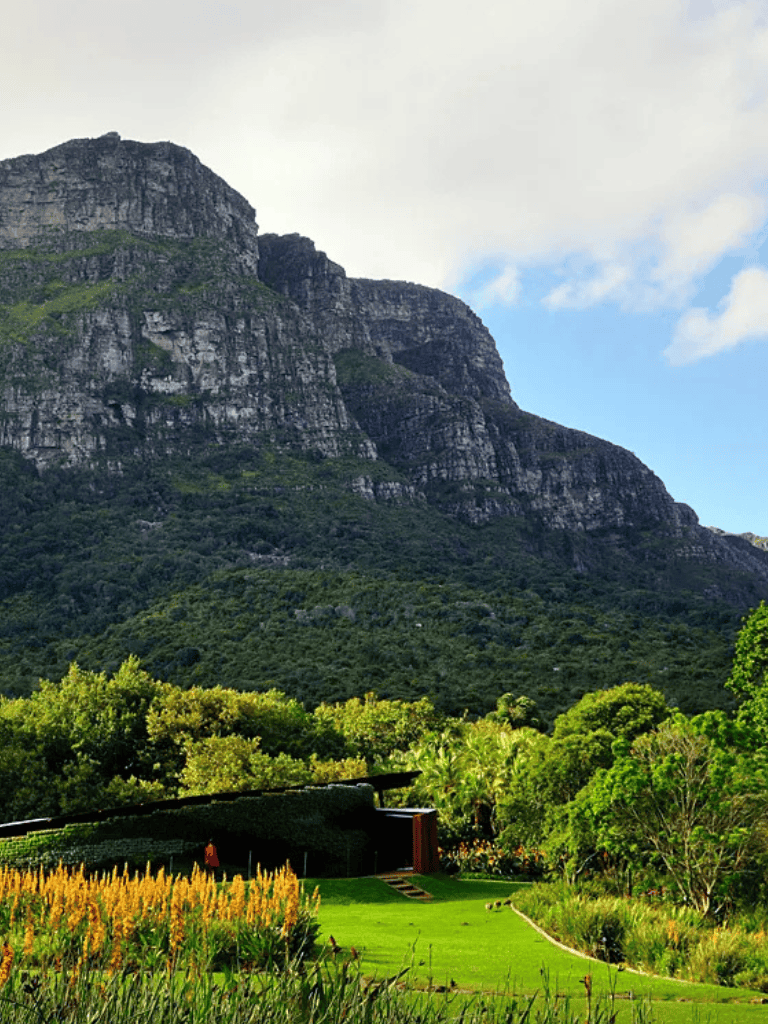 Lush green landscape with towering mountain and vibrant garden in front, ideal for nature exploration and outdoor adventures.