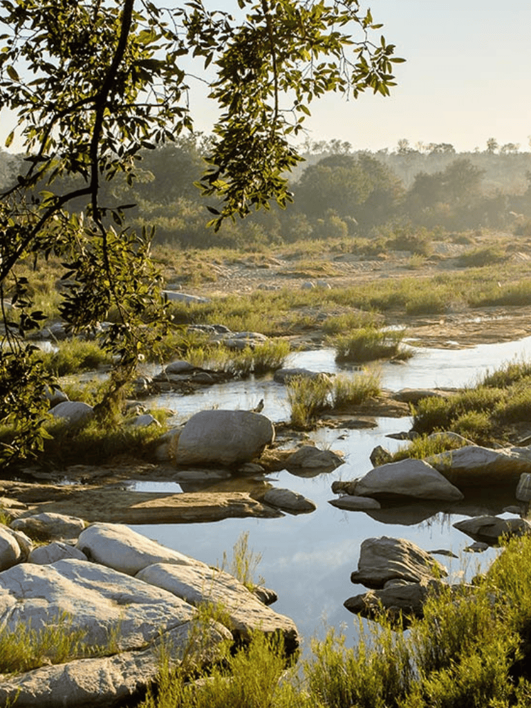 Serene river scene with rocks and lush greenery in natural landscape.