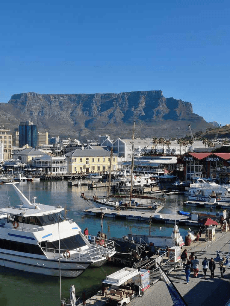 Luxury yachts at Cape Town harbor with Table Mountain in the background.