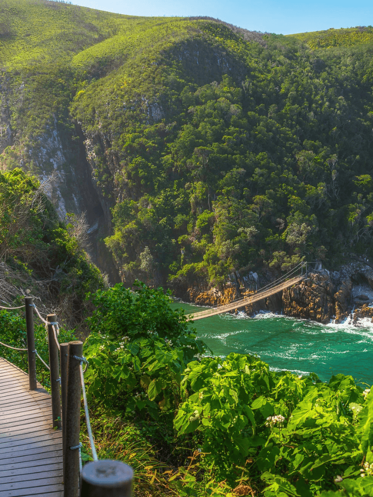 Vibrant green cliffs and the bridge at Waterfall Bay, Tasmania, with lush foliage and scenic views.
