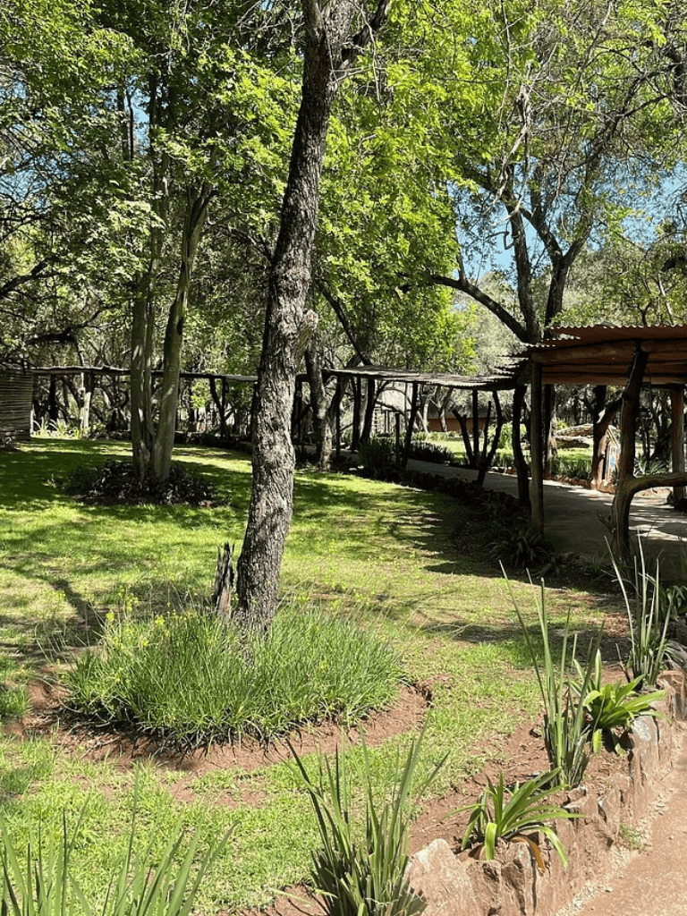 Tranquil garden with trees and pathways at QuestForDirections.
