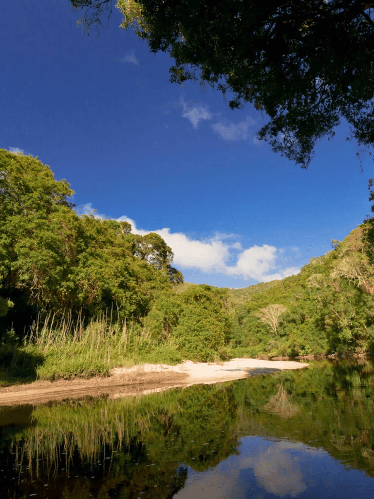 Serene river landscape surrounded by lush green trees under a bright blue sky with clouds.