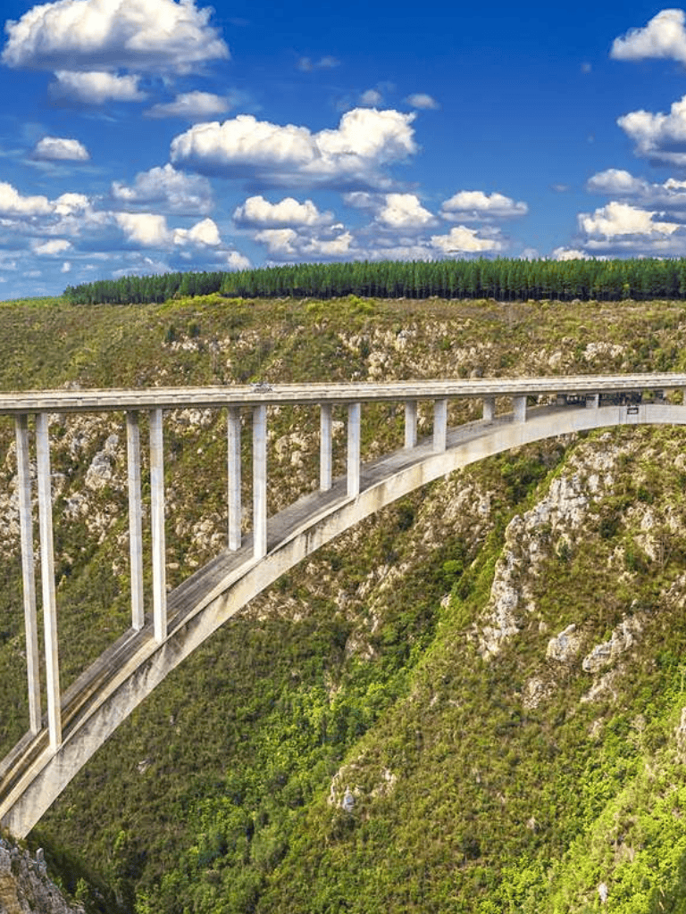 Scenic bridge over lush canyon with blue sky and clouds, emphasizing travel and adventure.