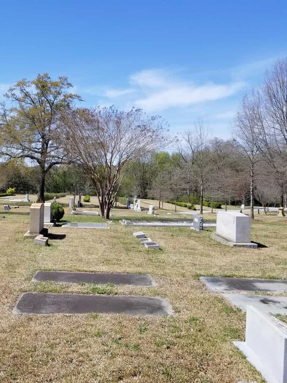 Cemetery with headstones and trees under a clear blue sky, peaceful outdoor scene.