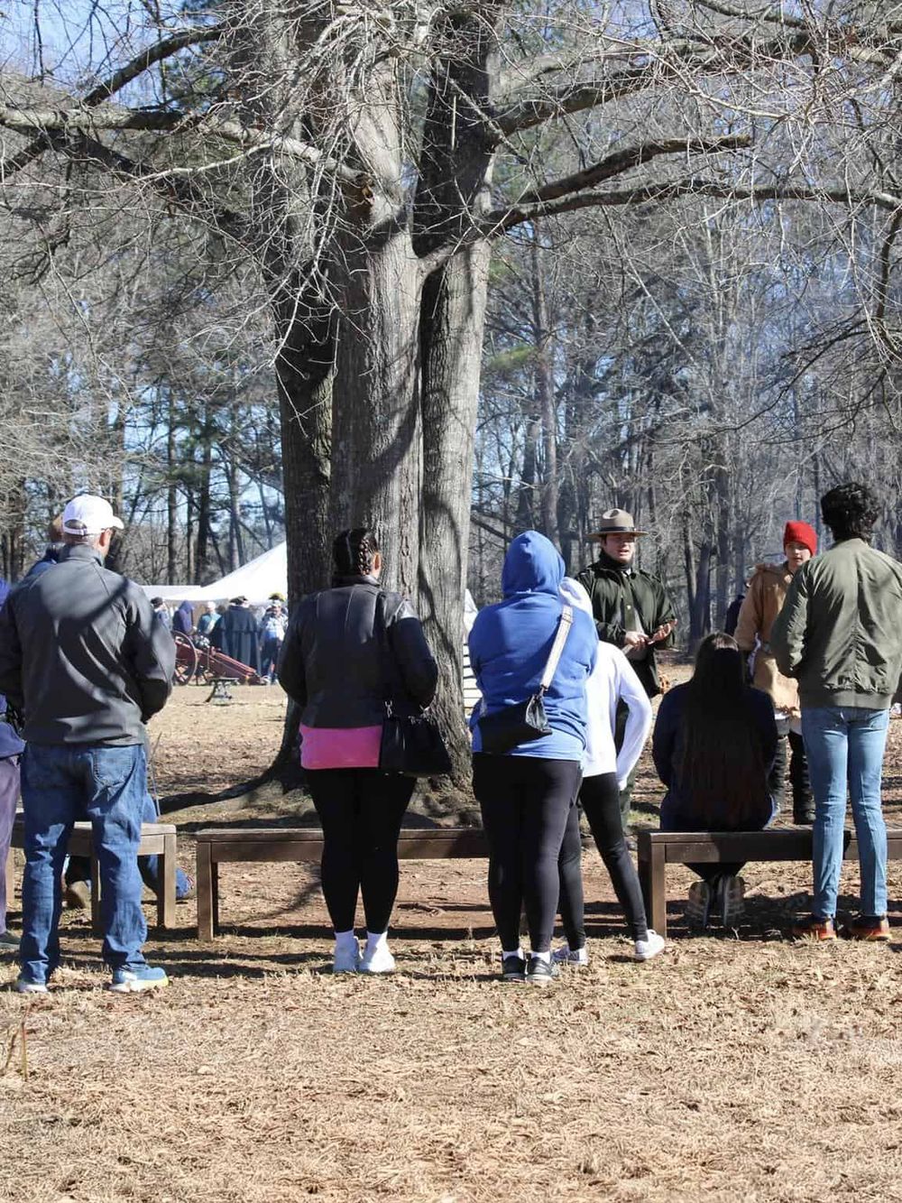 People gathering outdoors under a large tree in a park or nature setting, likely participating in a guided tour or outdoor event.