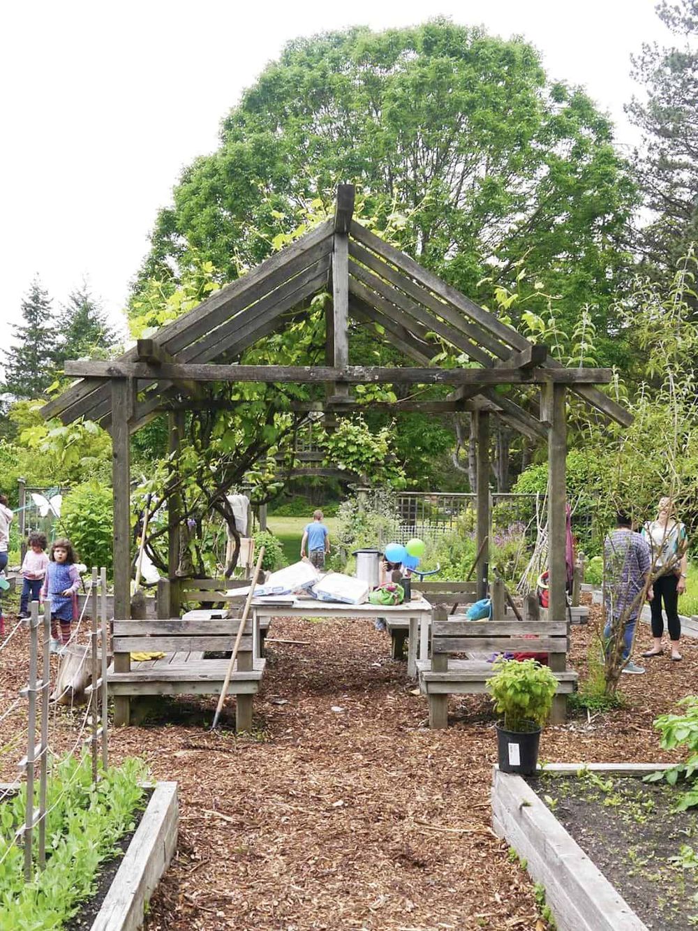 Wooden garden arbor with lush greenery and children playing nearby, showcasing community garden space.