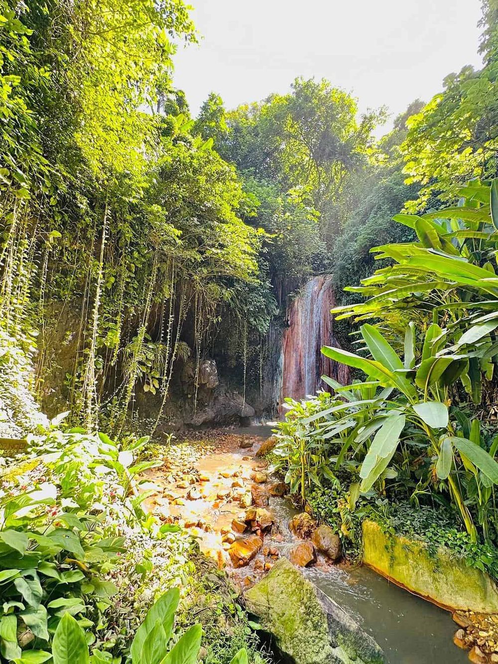 Lush jungle waterfall surrounded by tropical foliage, ideal for exploring nature and adventure travel.