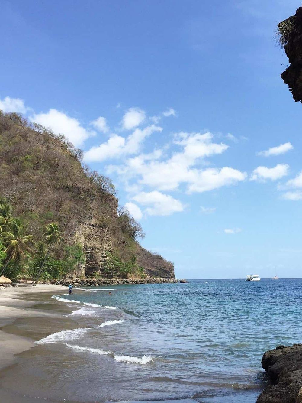 Serene beach landscape with rocky cliffs, palm trees, blue sky, and ocean waves, perfect for travel and adventure planning.