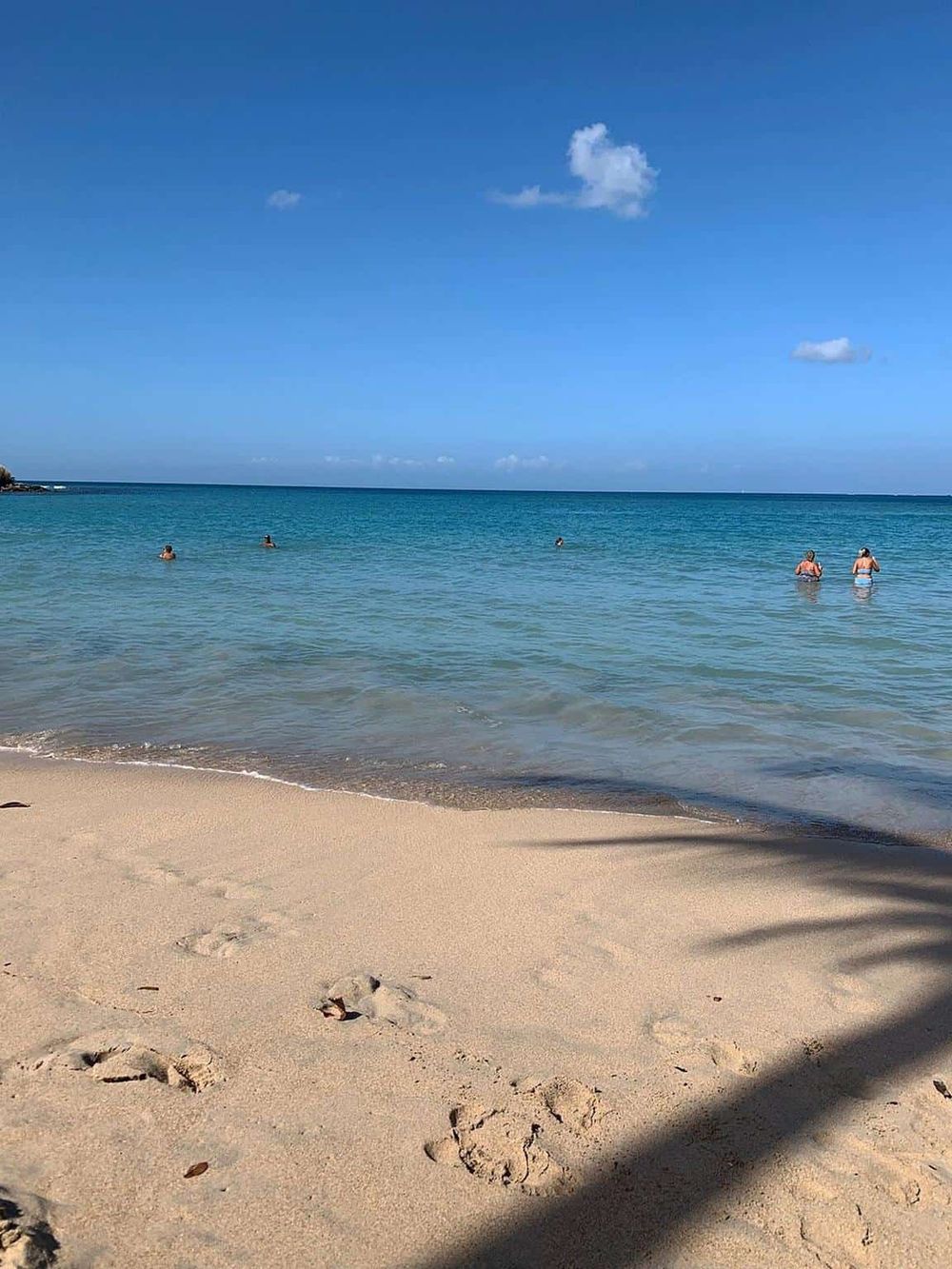 Relaxing beach with clear blue water and sunny sky, perfect for vacation and ocean exploration.