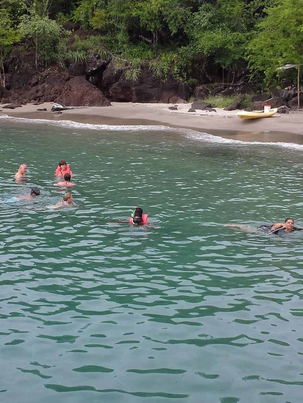 People swimming in clear ocean water near a sandy beach with lush green trees and rocks in the background.