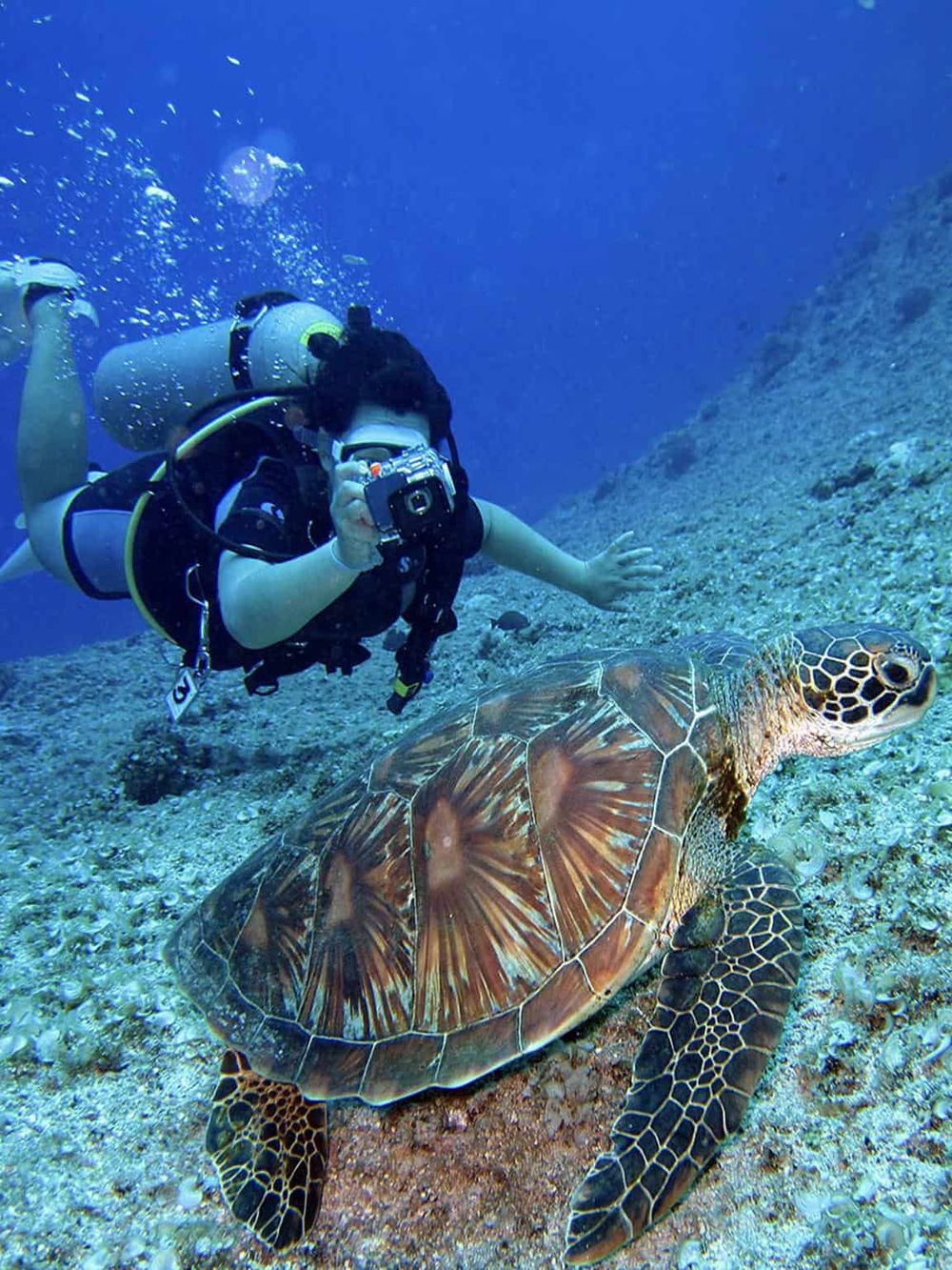 Colorful scuba diver taking photos of sea turtle underwater in vibrant ocean scene.