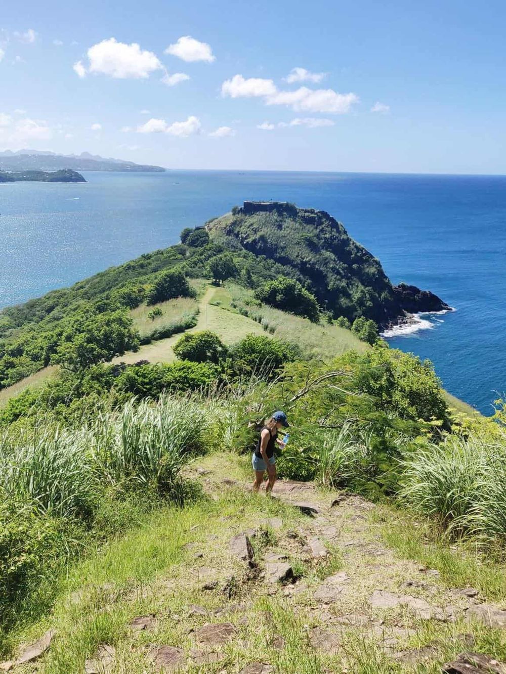 Vibrant coastal hiking trail with scenic ocean views and lush greenery on a sunny day.