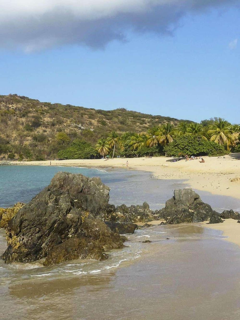 Pristine beach with rocks, palm trees, and clear blue sky, ideal for tropical vacation and seaside relaxation.