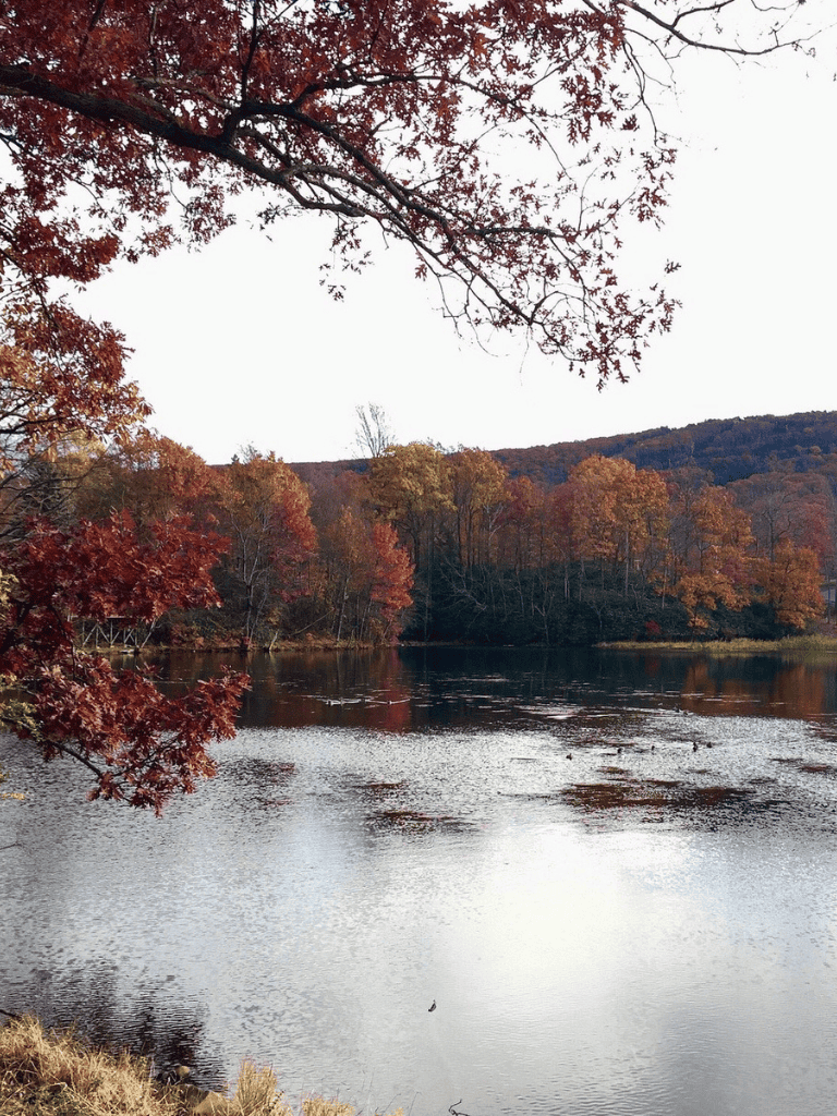 Serene autumn river scene with colorful trees reflecting on the water, perfect for outdoor adventure and nature exploration.